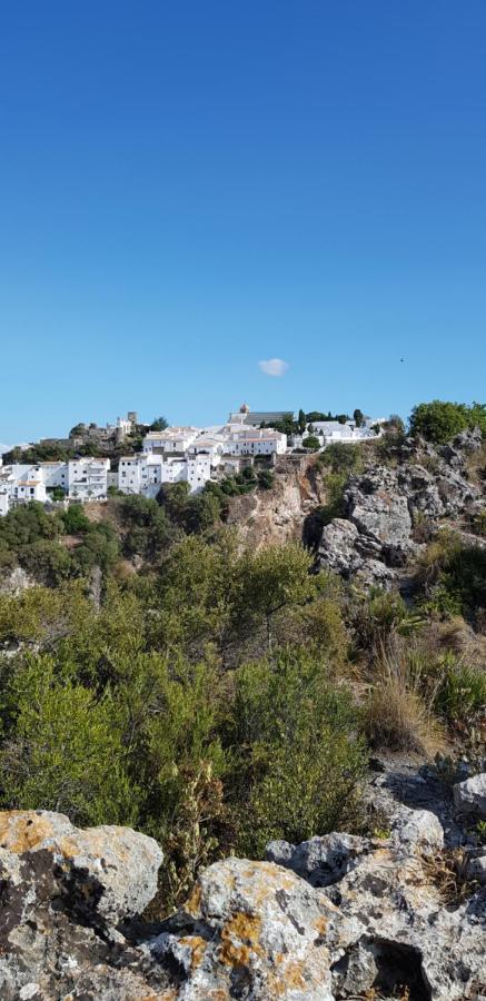 Puerto Estepona Extérieur photo